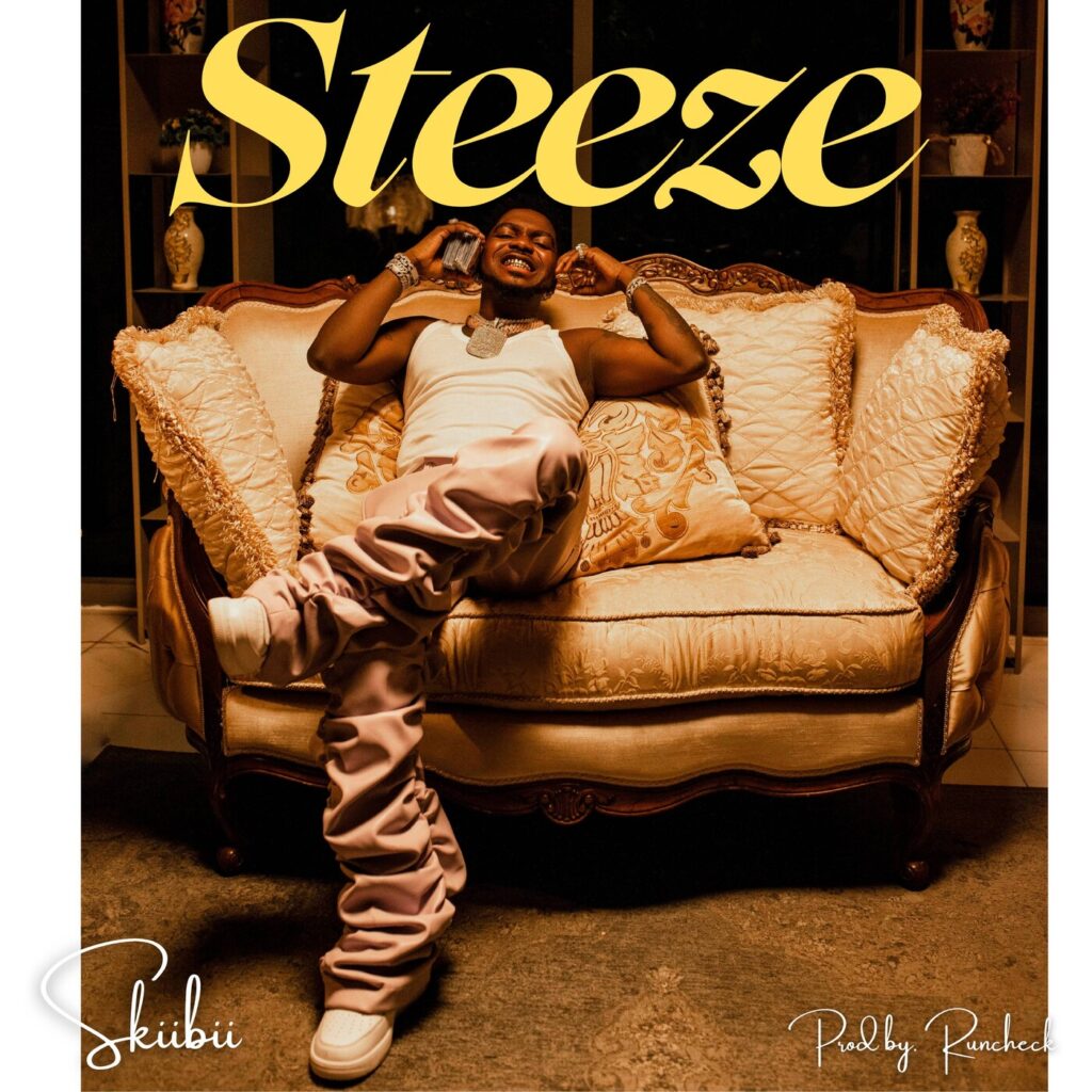 Skiibii – Steeze 1024x1024 Skiibii – Steeze 1024x1024